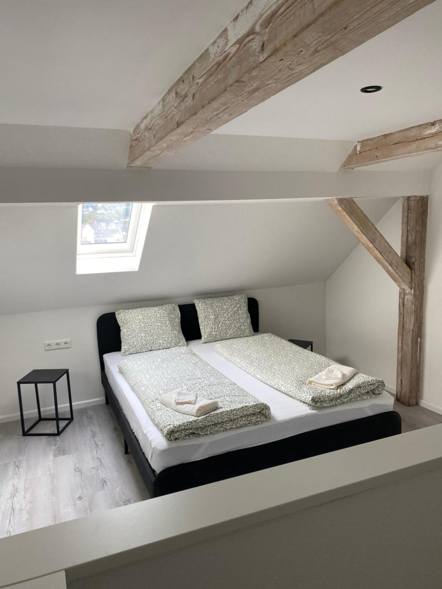 Greenhome Loerrach -Ihre Apartments Im 3-Laendereck- エクステリア 写真